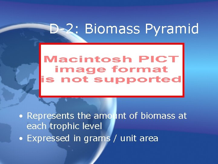 D-2: Biomass Pyramid • Represents the amount of biomass at each trophic level •