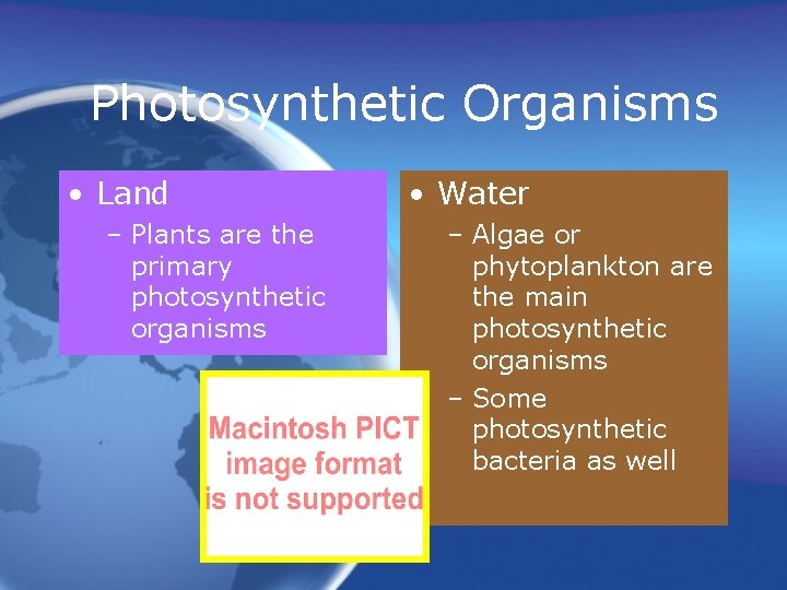Photosynthetic Organisms • Land – Plants are the primary photosynthetic organisms • Water –