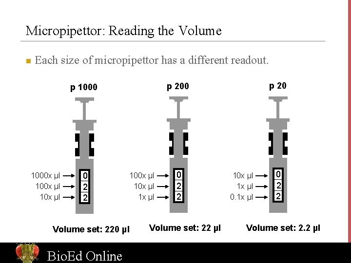 Micropipettor: Reading the Volume n Each size of micropipettor has a different readout. 1000