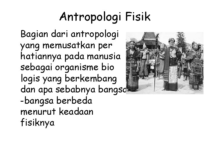 Antropologi Fisik Bagian dari antropologi yang memusatkan per hatiannya pada manusia sebagai organisme bio