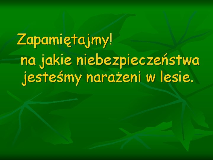 Zapamiętajmy! na jakie niebezpieczeństwa jesteśmy narażeni w lesie. 