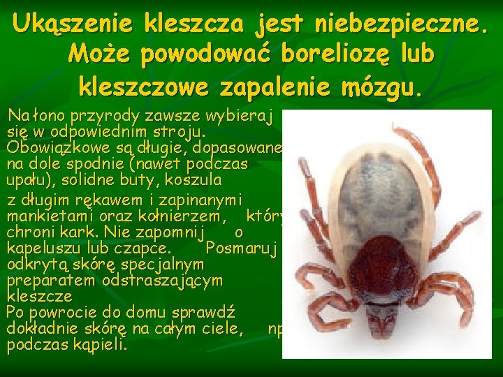 Ukąszenie kleszcza jest niebezpieczne. Może powodować boreliozę lub kleszczowe zapalenie mózgu. Na łono przyrody