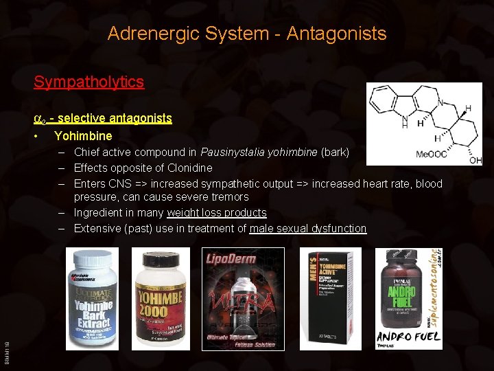 Adrenergic System - Antagonists Sympatholytics a 2 - selective antagonists • Yohimbine BIMM 118