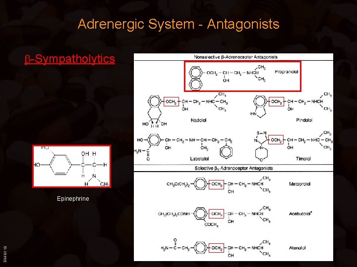 Adrenergic System - Antagonists b-Sympatholytics BIMM 118 Epinephrine 