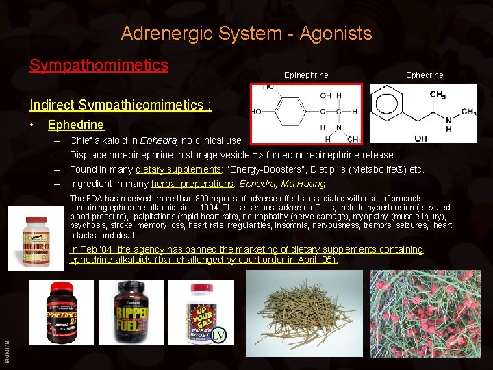 Adrenergic System - Agonists Sympathomimetics Epinephrine Ephedrine Indirect Sympathicomimetics : • Ephedrine – –