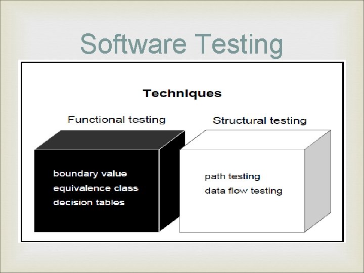 Software Testing 