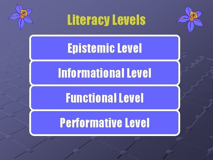 Literacy Levels Epistemic Level Informational Level Functional Level Performative Level 