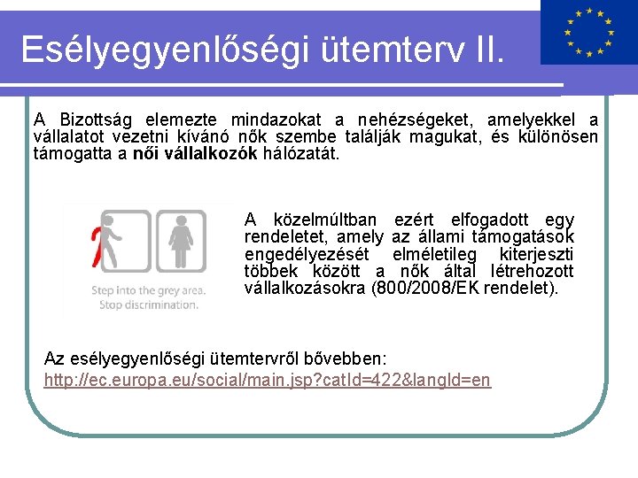 Esélyegyenlőségi ütemterv II. A Bizottság elemezte mindazokat a nehézségeket, amelyekkel a vállalatot vezetni kívánó