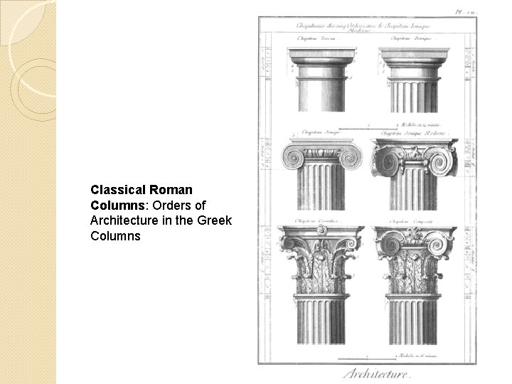 Classical Roman Columns: Orders of Architecture in the Greek Columns 