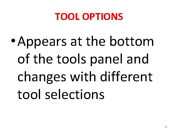 TOOL OPTIONS • Appears at the bottom of the tools panel and changes with