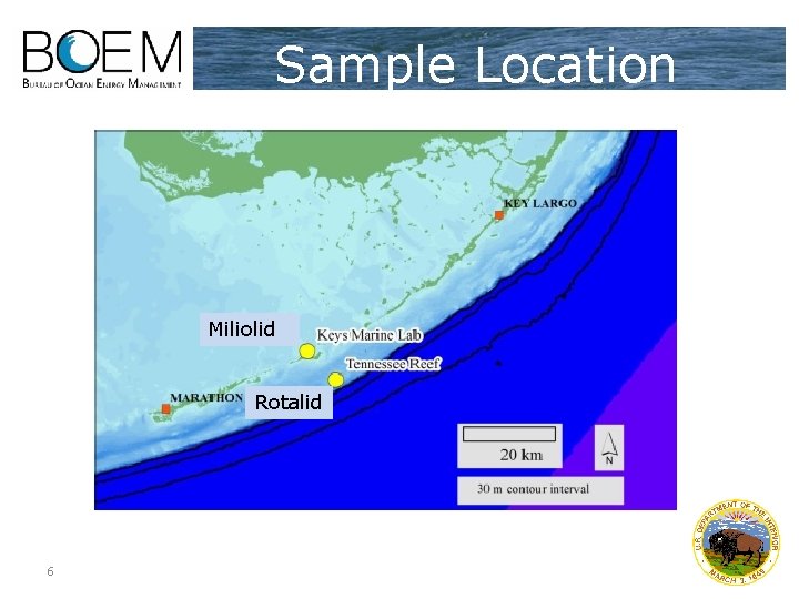 Sample Location Miliolid Rotalid 6 