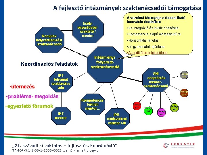 A fejlesztő intézmények szaktanácsadói támogatása Komplex helyzetelemzési szaktanácsadó A vezetést támogatja a fenntartható innováció