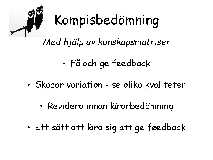 Kompisbedömning Med hjälp av kunskapsmatriser • Få och ge feedback • Skapar variation -