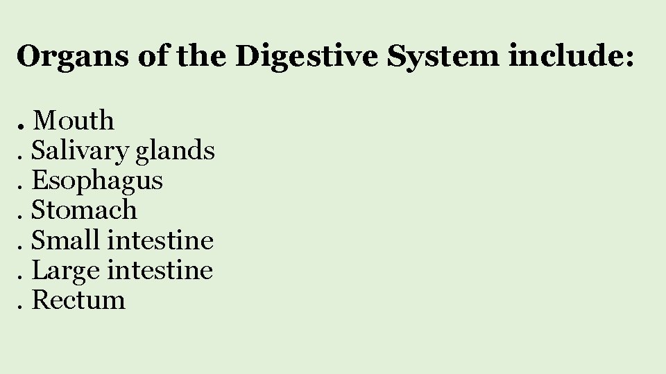 Organs of the Digestive System include: . Mouth. Salivary glands. Esophagus. Stomach. Small intestine.