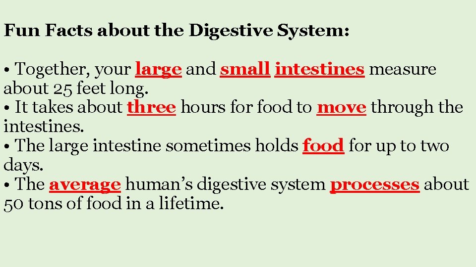 Fun Facts about the Digestive System: • Together, your large and small intestines measure
