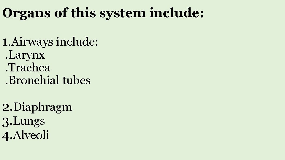 Organs of this system include: 1. Airways include: . Larynx. Trachea. Bronchial tubes 2.