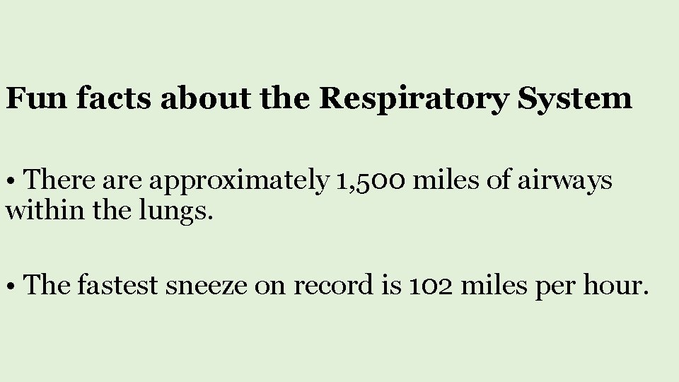 Fun facts about the Respiratory System • There approximately 1, 500 miles of airways
