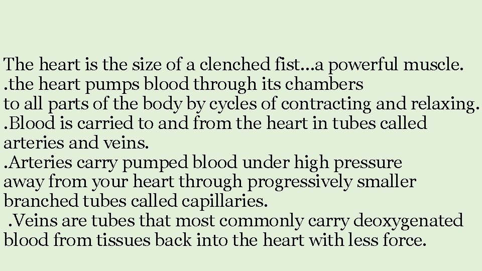 The heart is the size of a clenched fist…a powerful muscle. . the heart