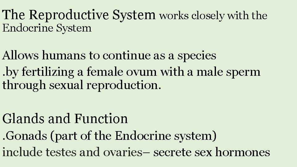 The Reproductive System works closely with the Endocrine System Allows humans to continue as