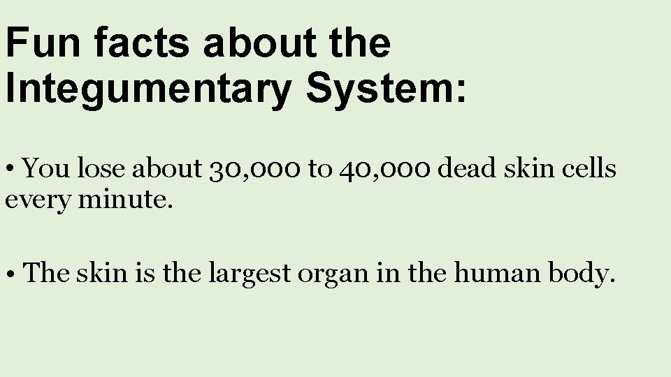 Fun facts about the Integumentary System: • You lose about 30, 000 to 40,