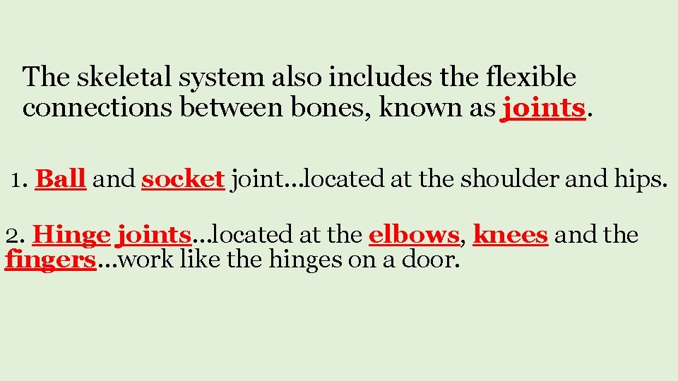 The skeletal system also includes the flexible connections between bones, known as joints. 1.