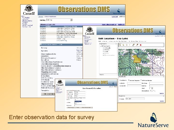 Enter observation data for survey 