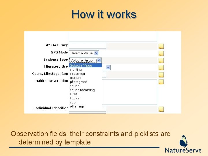 How it works Observation fields, their constraints and picklists are determined by template 
