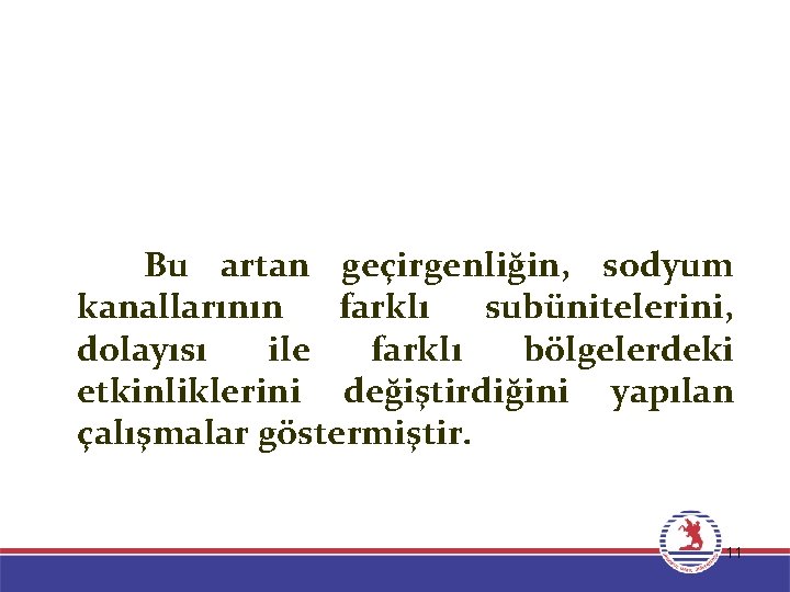 Bu artan geçirgenliğin, sodyum kanallarının farklı subünitelerini, dolayısı ile farklı bölgelerdeki etkinliklerini değiştirdiğini yapılan