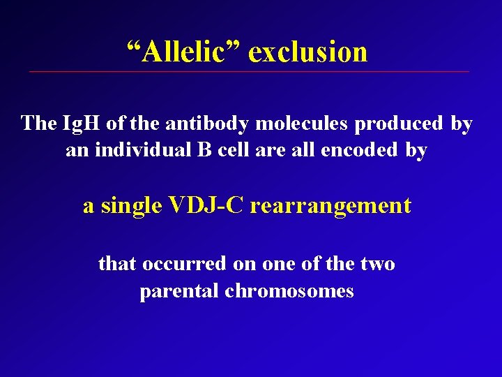 “Allelic” exclusion The Ig. H of the antibody molecules produced by an individual B
