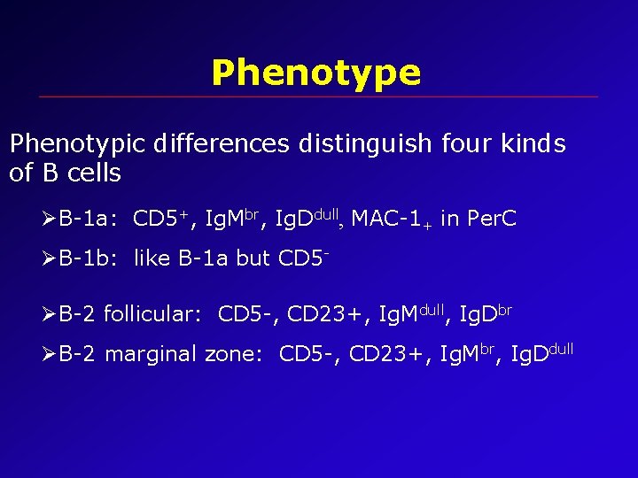 Phenotype Phenotypic differences distinguish four kinds of B cells ØB-1 a: CD 5+, Ig.