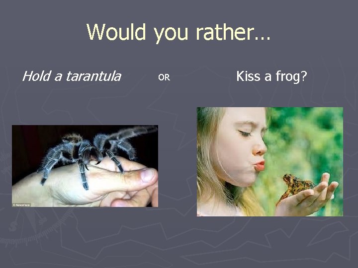 Would you rather… Hold a tarantula OR Kiss a frog? 