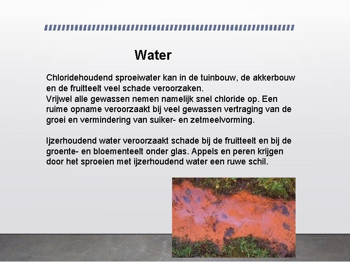 Water Chloridehoudend sproeiwater kan in de tuinbouw, de akkerbouw en de fruitteelt veel schade