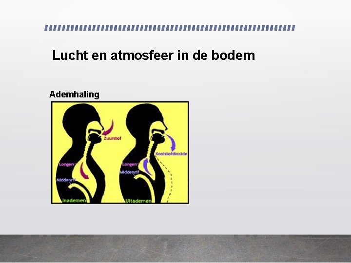 Lucht en atmosfeer in de bodem Ademhaling 