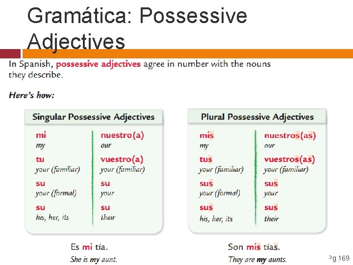 Gramática: Possessive Adjectives Pg 169 