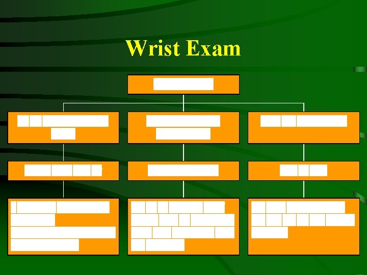 Wrist Exam 