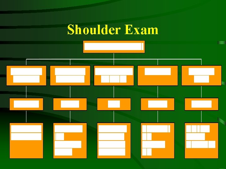 Shoulder Exam 