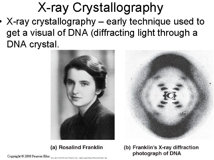 X-ray Crystallography • X-ray crystallography – early technique used to get a visual of