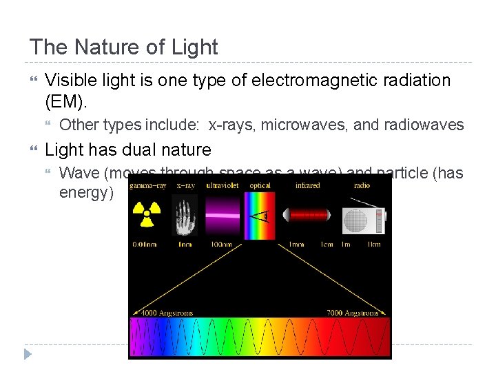 Light The Nature of Light Visible light is