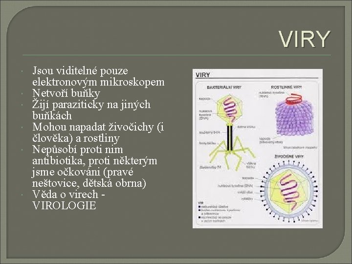 VIRY Jsou viditelné pouze elektronovým mikroskopem Netvoří buňky Žijí paraziticky na jiných buňkách Mohou