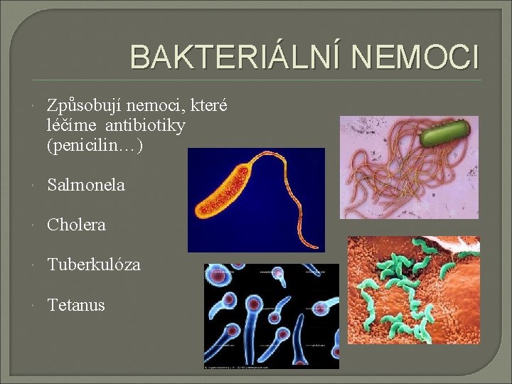 BAKTERIÁLNÍ NEMOCI Způsobují nemoci, které léčíme antibiotiky (penicilin…) Salmonela Cholera Tuberkulóza Tetanus 