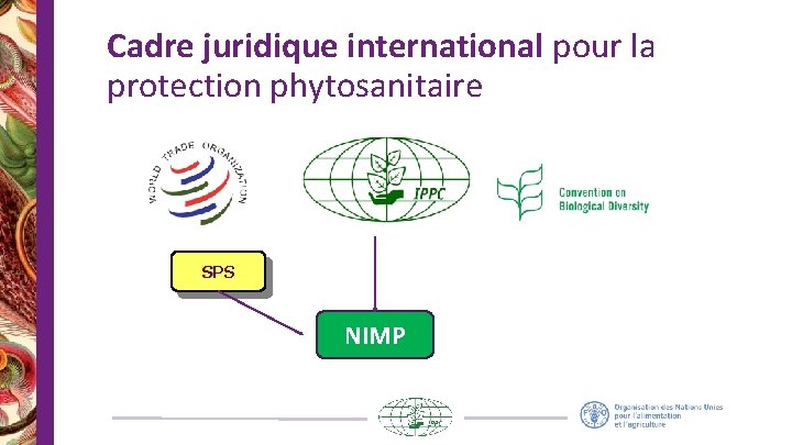 Cadre juridique international pour la protection phytosanitaire SPS NIMP 