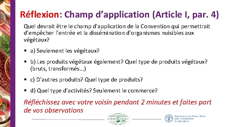 Réflexion: Champ d’application (Article I, par. 4) Quel devrait être le champ d’application de