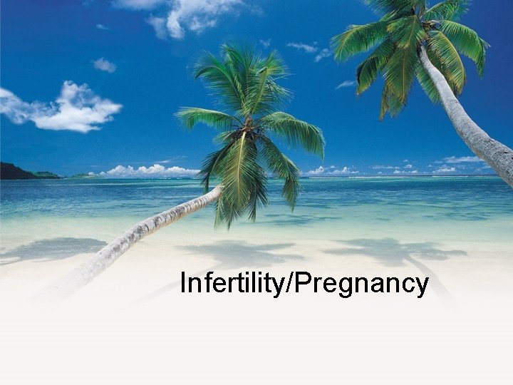Infertility/Pregnancy 