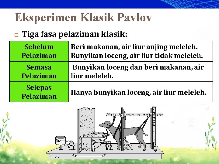 Eksperimen Klasik Pavlov 10 Tiga fasa pelaziman klasik: Sebelum Pelaziman Beri makanan, air liur