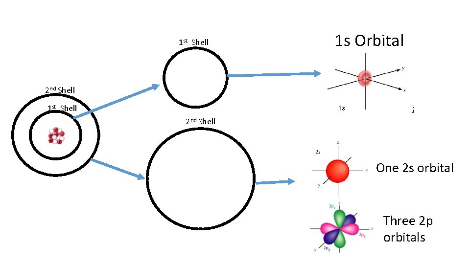 1 st Shell 1 s Orbital 2 nd Shell 1 st Shell 2 nd