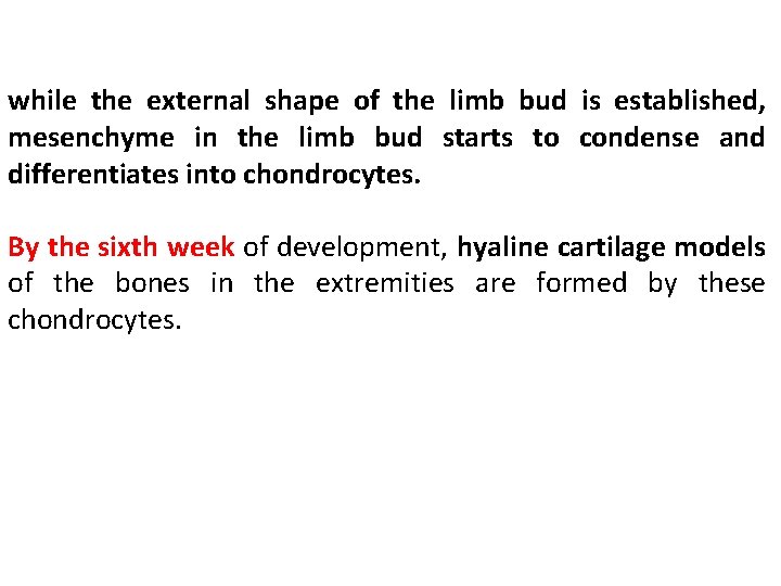 while the external shape of the limb bud is established, mesenchyme in the limb