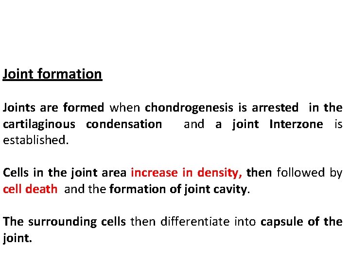 Joint formation Joints are formed when chondrogenesis is arrested in the cartilaginous condensation and