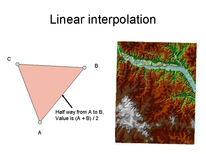 Linear interpolation C B Half way from A to B, Value is (A +