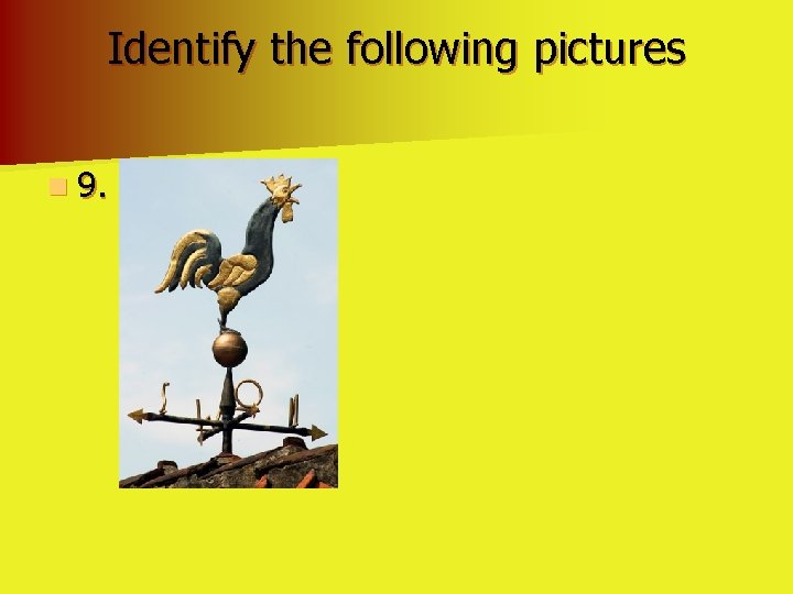 Identify the following pictures n 9. 