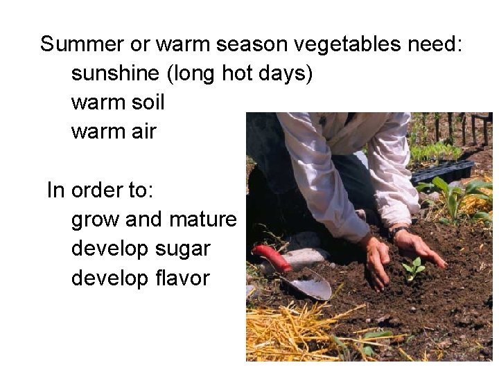 Summer or warm season vegetables need: sunshine (long hot days) warm soil warm air